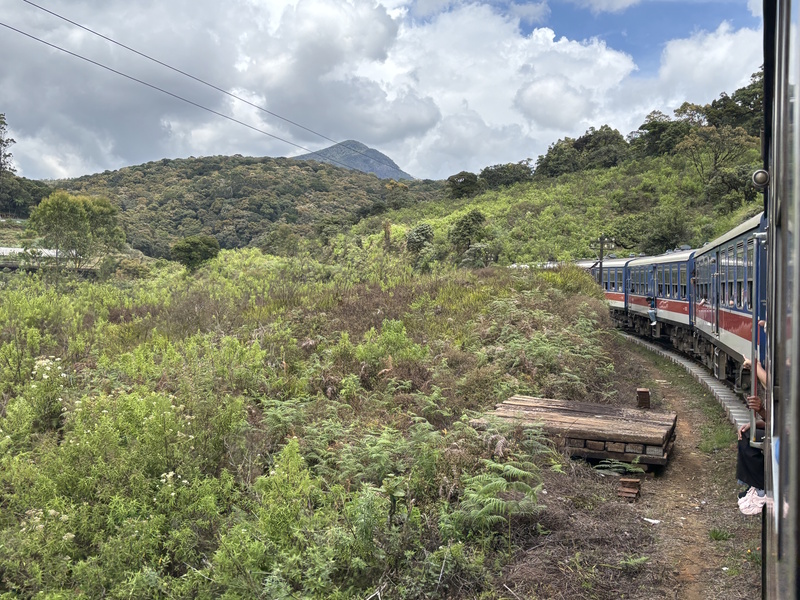 Landschap trein Ella Kandy