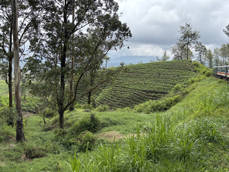 Tips trein Ella Kandy