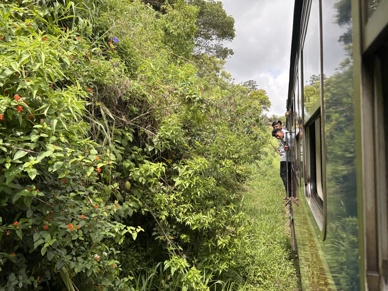 Trein van Ella naar Kandy
