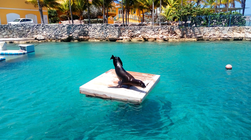 Willemstad Curaçao aquarium
