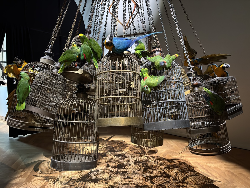 Amsterdam Art Zoo Museum papegaaien