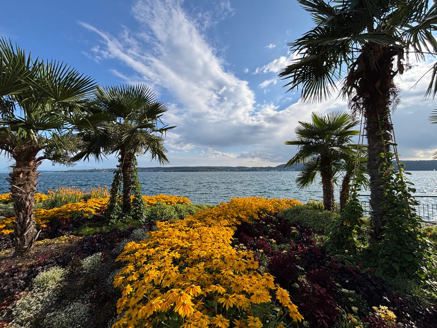 Bodensee wat te doen