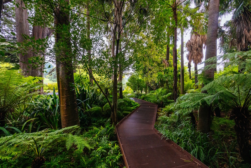 Botanic Gardens in Melbourne