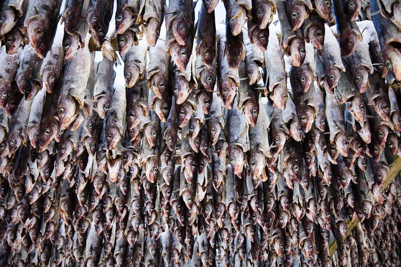 Narvik gedroogde vis