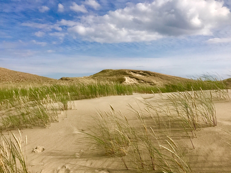 Duinen Koerse Schoorwal Klaipeda