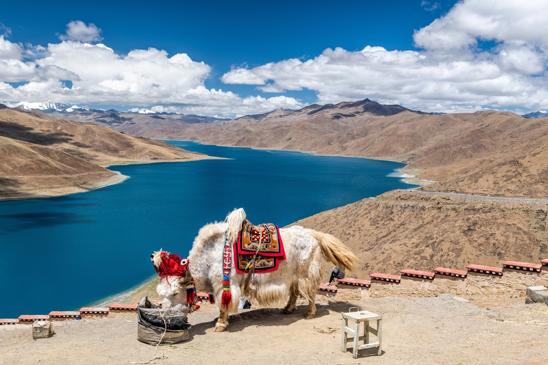 Yamdrok meer in Tibet