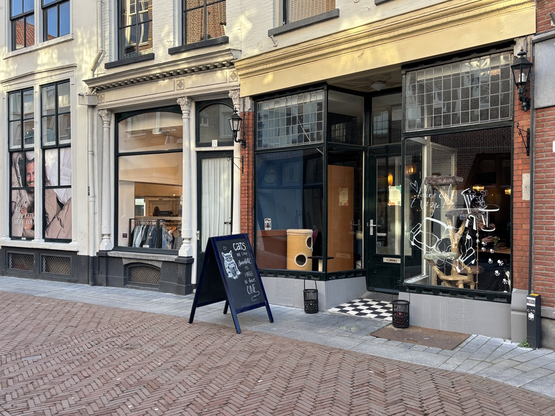 Zutphen kattencafé