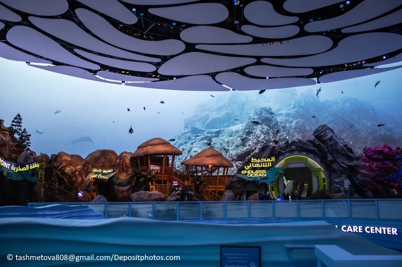 SeaWorld in Abu Dhabi