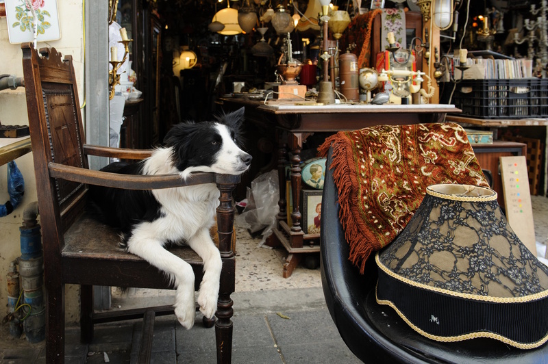 Old Jaffa in Israël