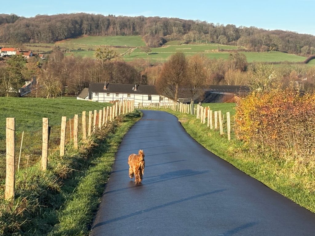 Limburg bezienswaardigheden