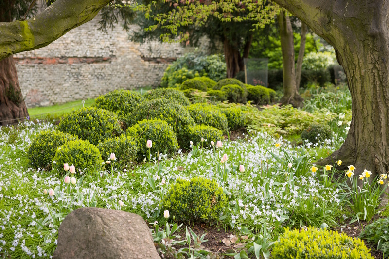 Museum Gardens in York