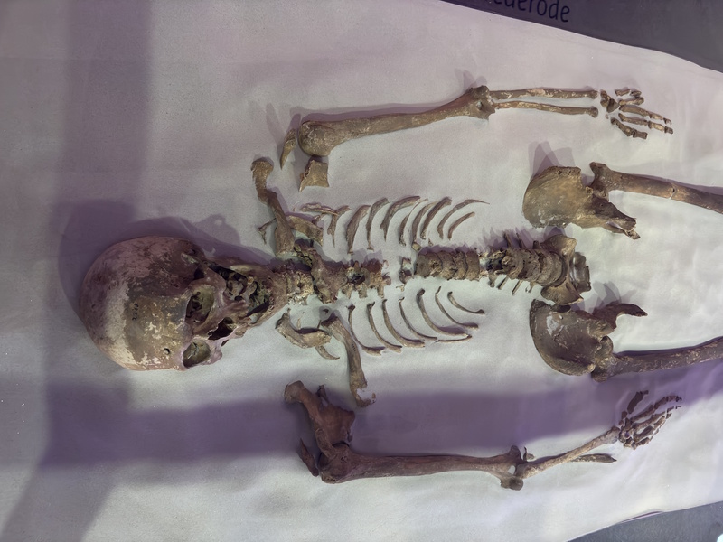 Skelet in Huis van Hilde in Castricum