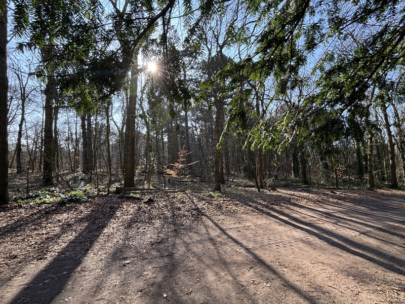Noordhollands Duinreservaat in Castricum