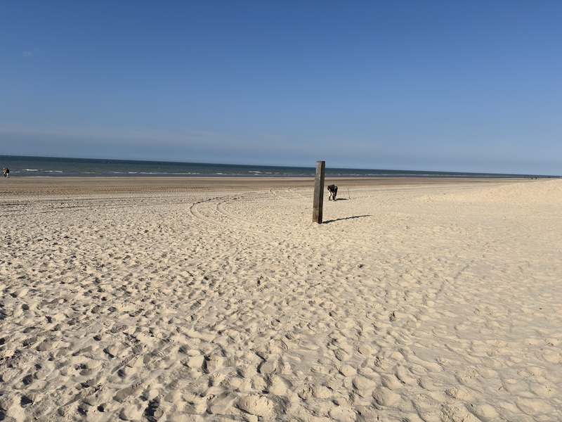 Castricum strandvakantie