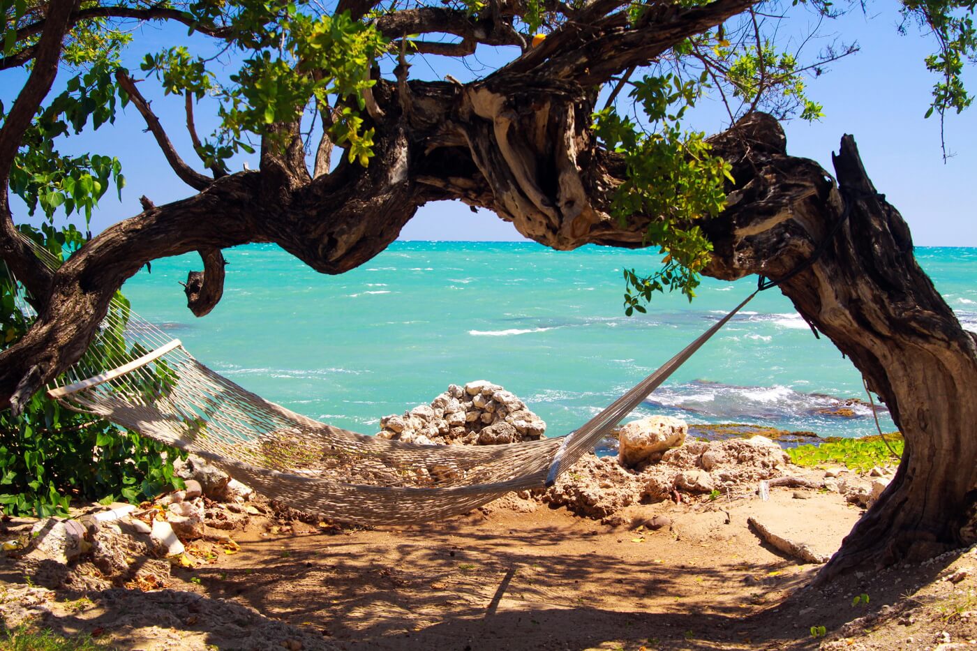 Jamaica vakantie