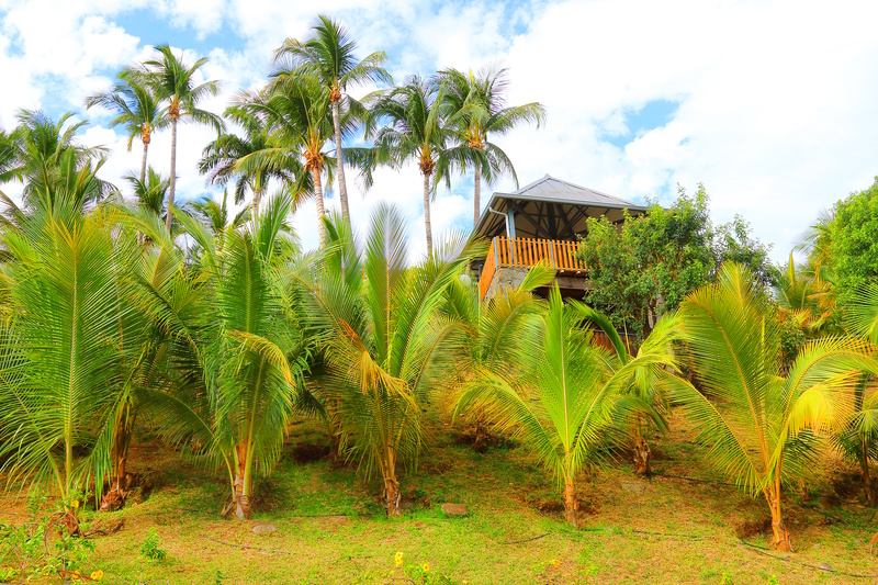 La Réunion hotel