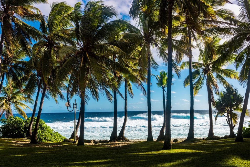 La Réunion reisorganisaties