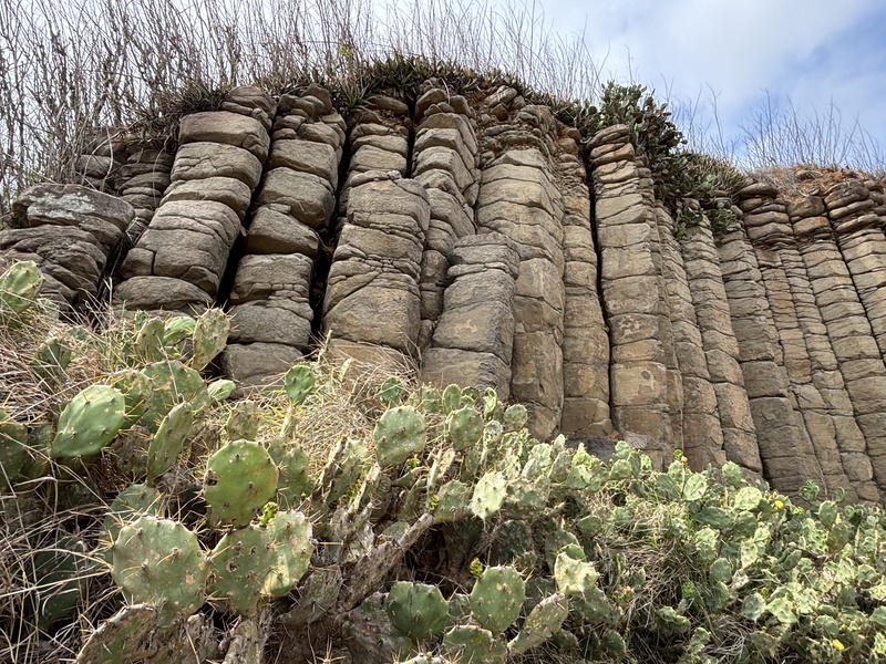 Cactussen Daguoye basaltkolommen Penghu