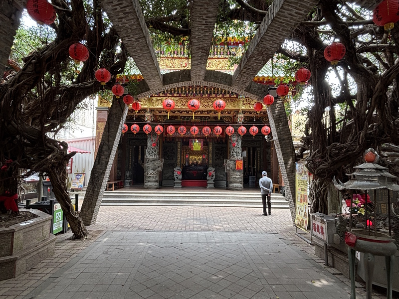 Penghu Tongliang banyanboom