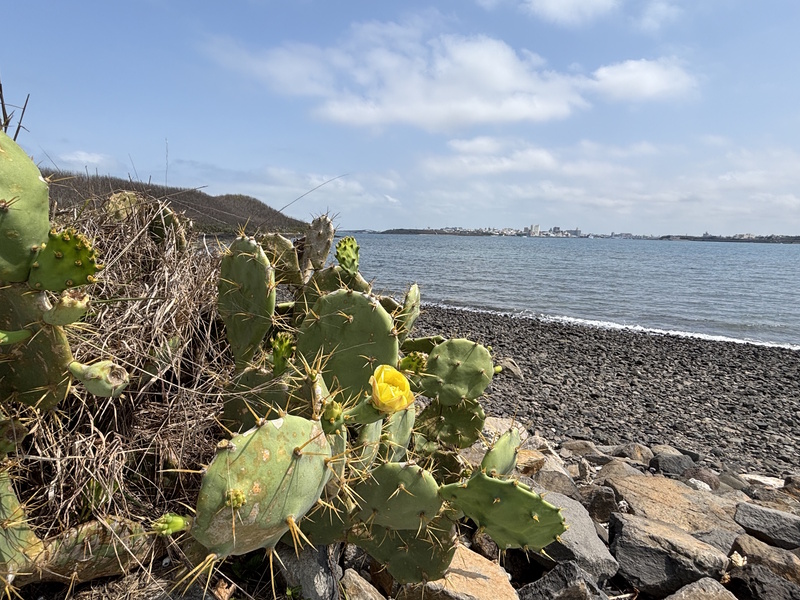 Penghu uitzicht Magong