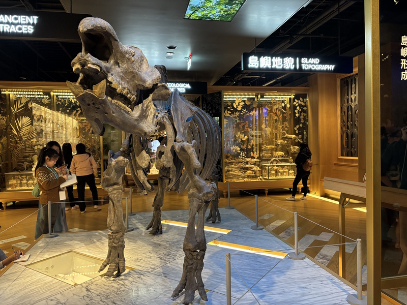 Dinosaurus Nationaal Museum Taipei