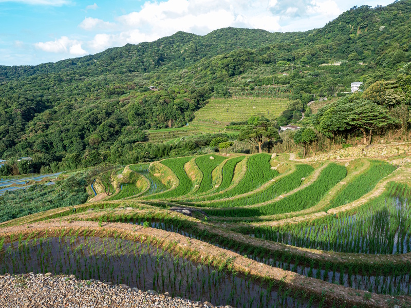 Taiwan vakantietips