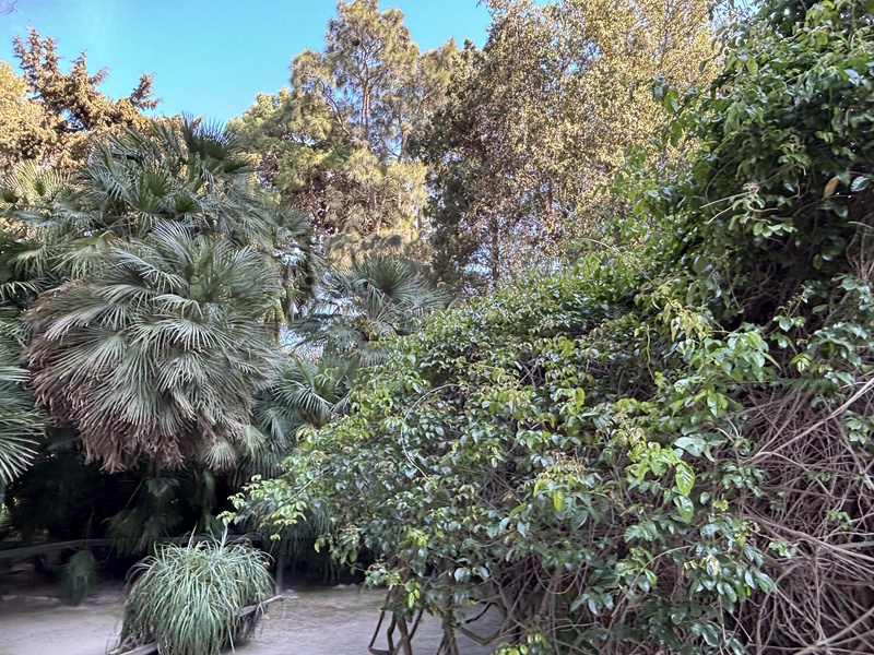 Cagliari botanische tuin