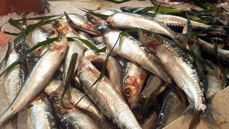 Cagliari markt San Benedetto