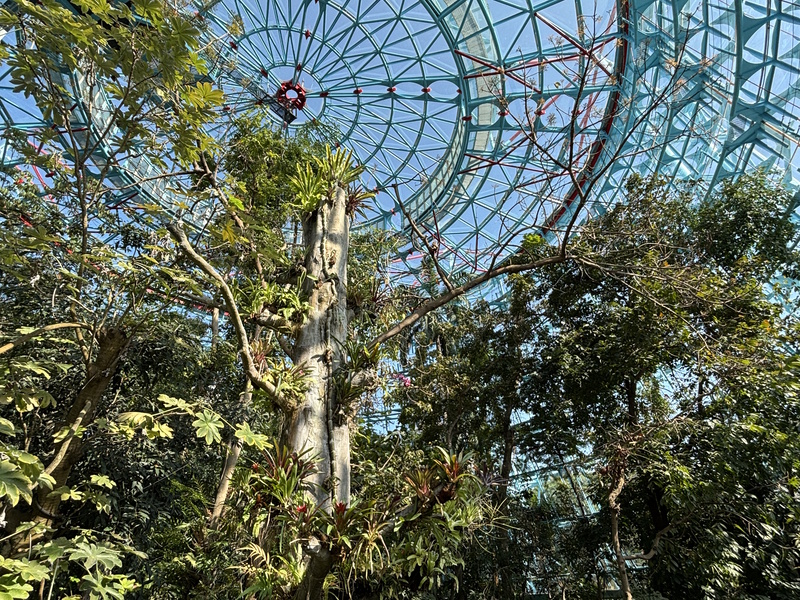 Taichung wetenschapsmuseum en botanische tuin