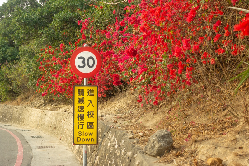 Taiwan autorijden snelheid