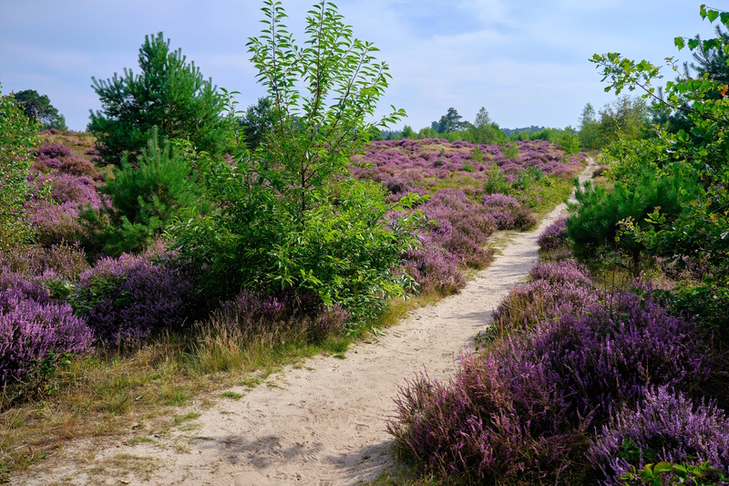 Utrecht provincie en nationaal park