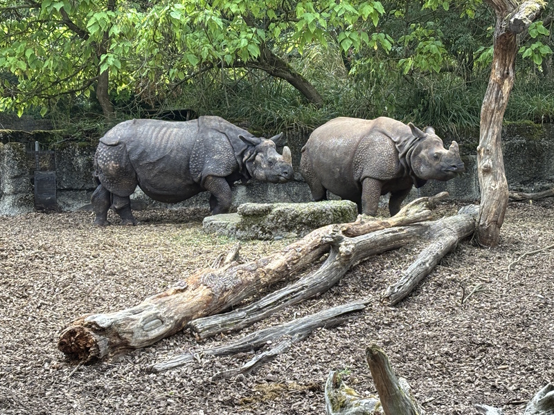 Basel dierentuin