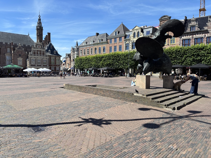 Haarlem Zonnevechter