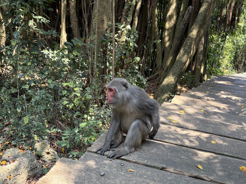 Kaohsiung Shoushan National Park
