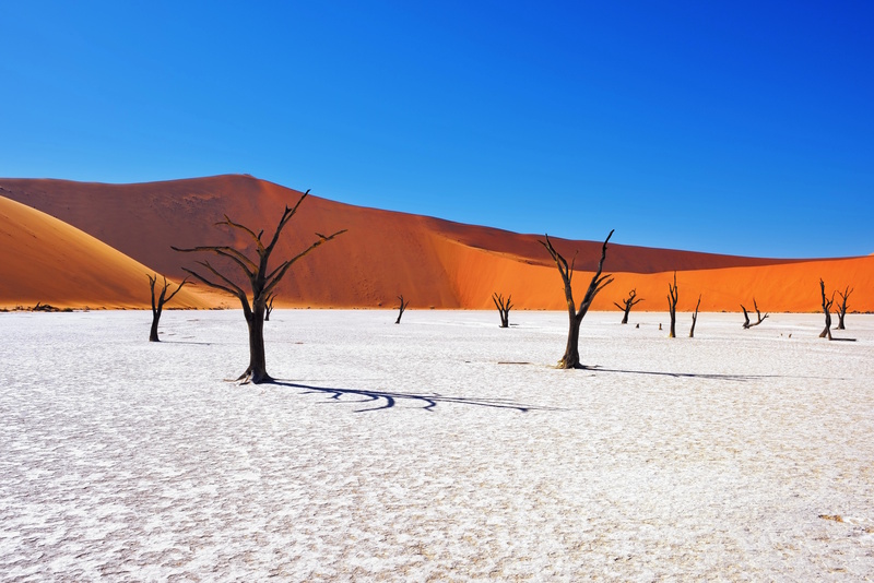 Namibië Deadvlei