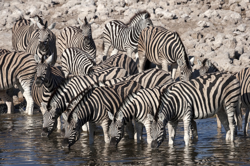 Namibië vakantie tips