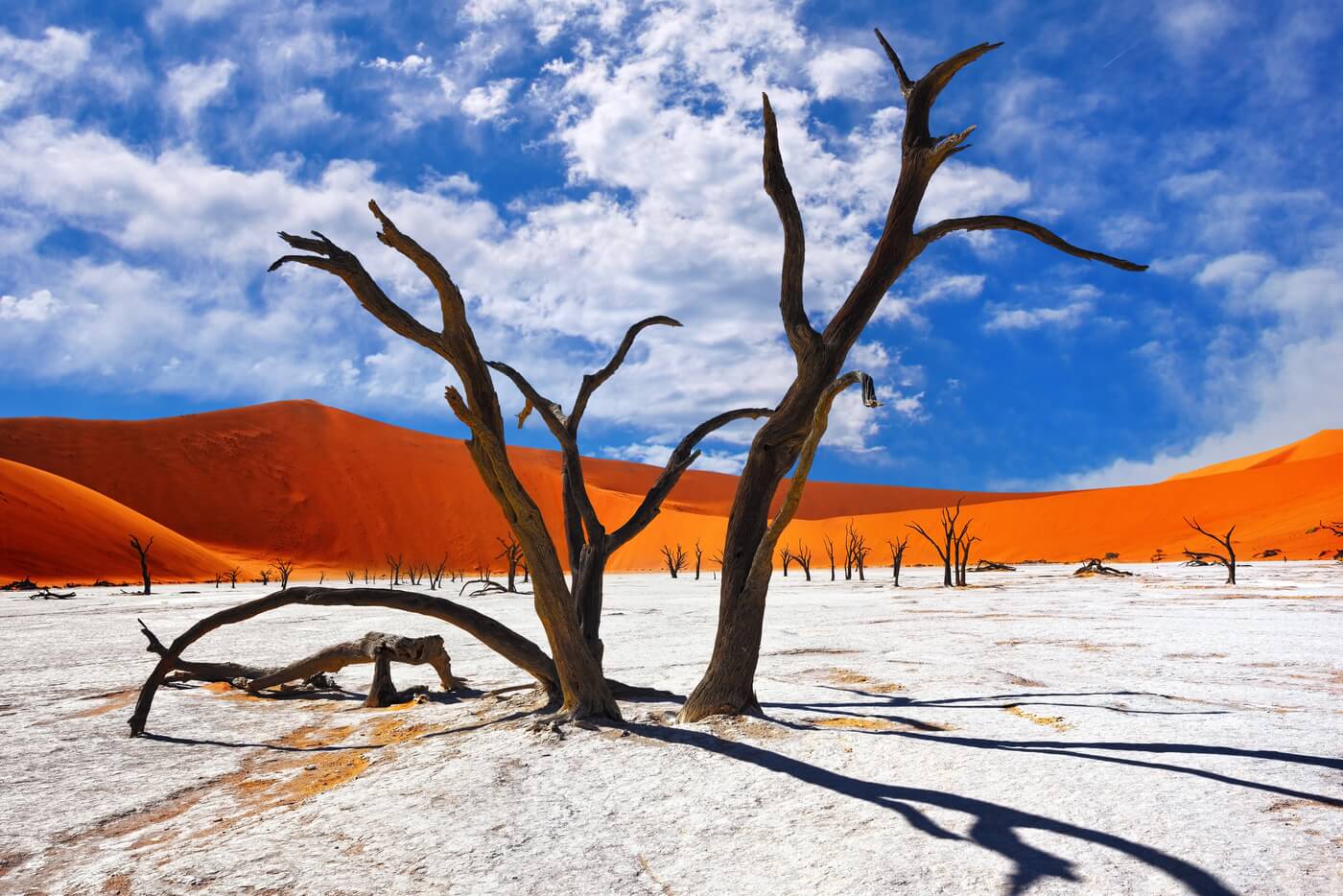 Namibië vakantie