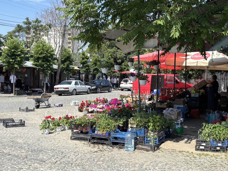 Pristina bloemenkraampje