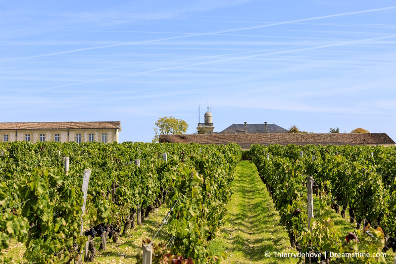 Bordeaux Chateau Gruaud Larose
