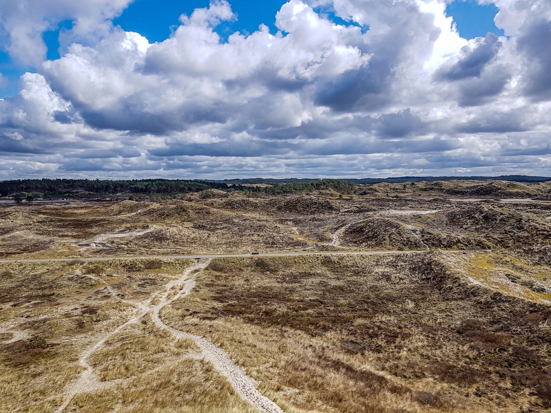 Schoorlse Duinen in Noord-Holland