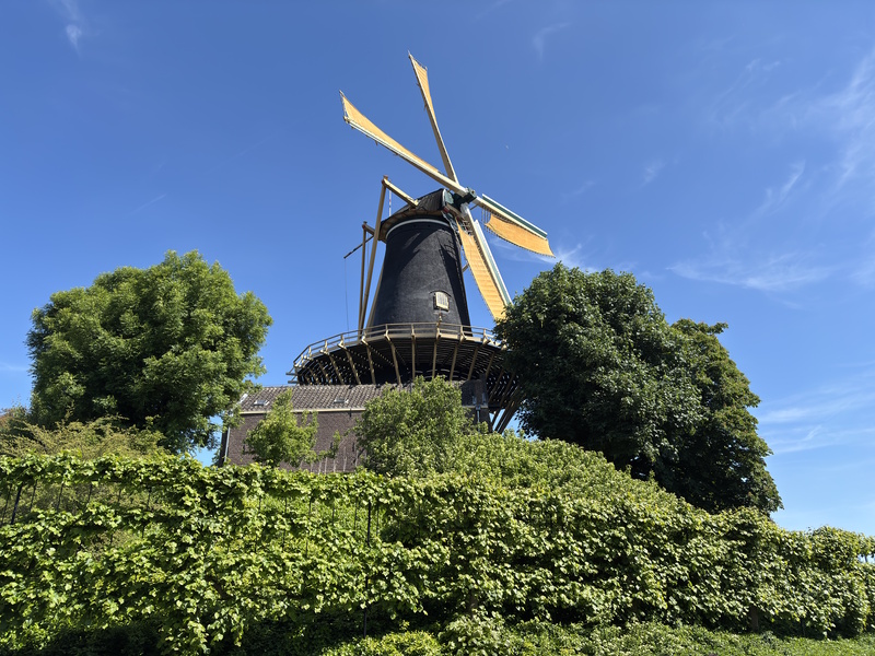 Woerden molen De Windhond