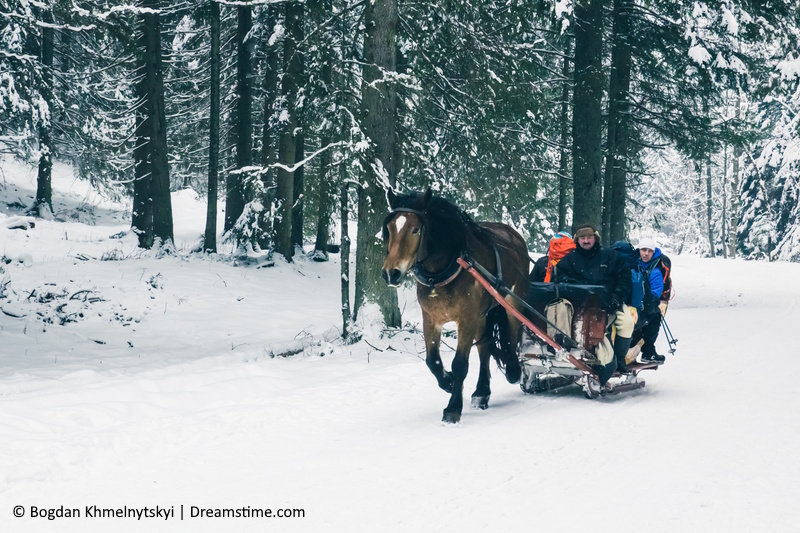 Zakopane paardenkoets