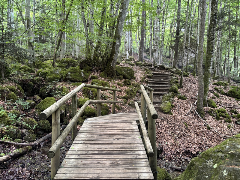 Ariège Maison des Loups