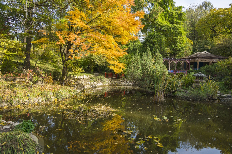 Cluj Napoca botanische tuin