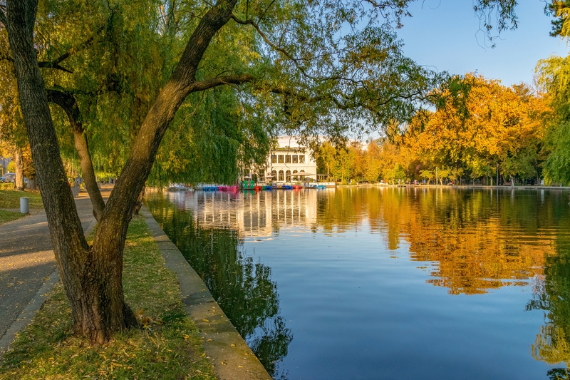 Cluj Napoca Central Park