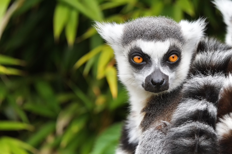 Madagascar vakantie tips