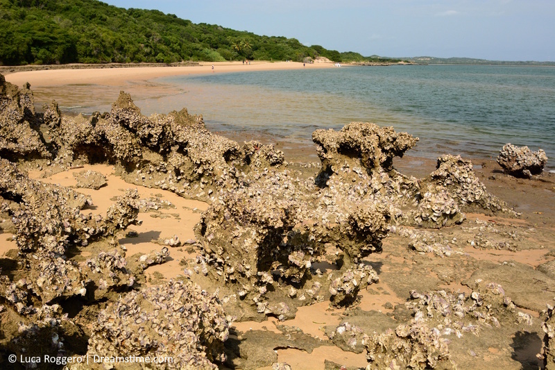 Mozambique Machangulo