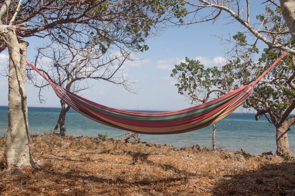 Mozambique reisorganisaties
