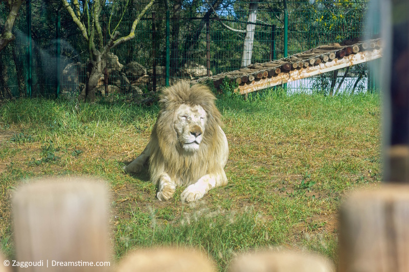 Rabat dierentuin
