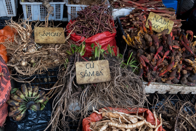 Sapa geneeskrachtige kruiden